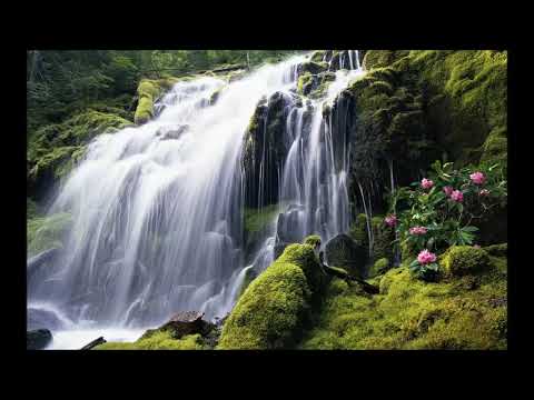 Oxum, Senhora Dos Brancos Negros - Umbanda