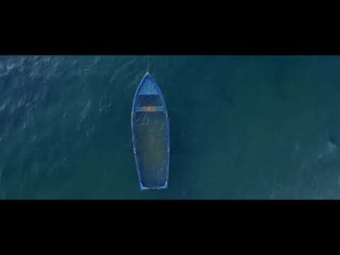 Milu relax Walking on the beach