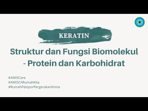 Keratin UTS 1 SFB (2) 2020 - Protein dan Karbohidrat