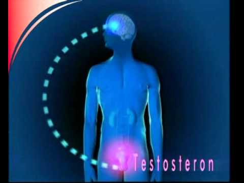 Wie die Prostata entspannen Was von Prostata-Adenom unterscheidet