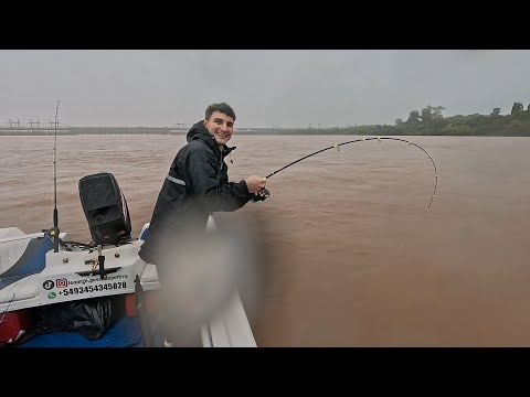 Hermoso Dorado de 12 kg bajo la lluvia.... Concordia (Entre Rios) 🎣🌎 