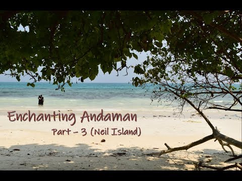A Trip to Andaman - Part 3  - Andaman Tour Guide - Neil Island (final part)