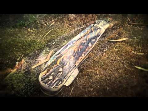 Eine Überraschung von Schnorres58 - Robert Klaas Kissing Cranes