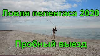 Ссылка