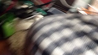 生放送プラベ