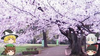 2019年4月　今後について