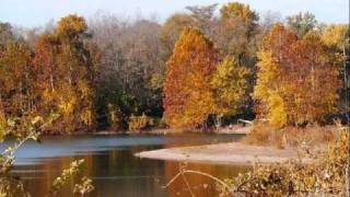 Joe Nahas - Autumn Leaves