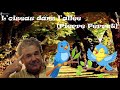 L'oiseau dans l'allée (Pierre Perret / reprise)