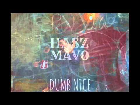 HideandSeekZoo - Dumb Nice feat. Mavo