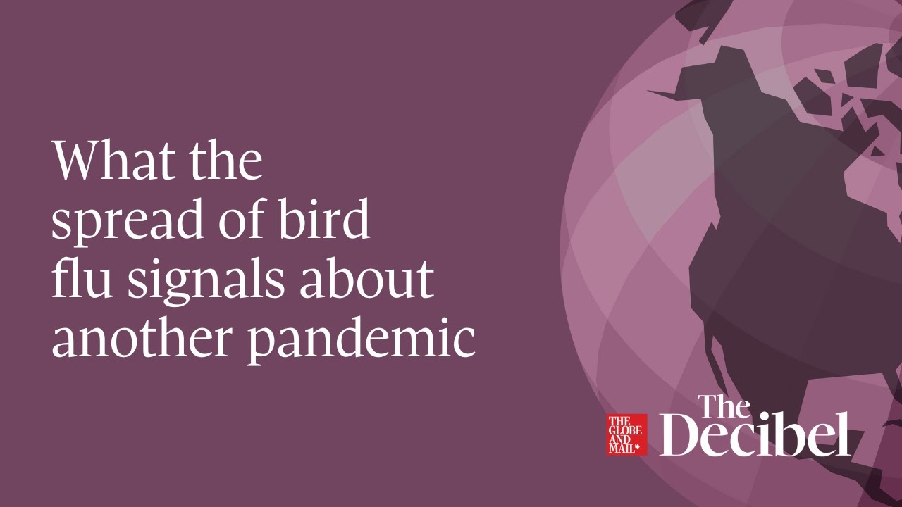 What the spread of bird flu signals about another pandemic