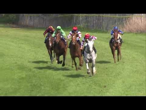 Fortsætter "den grå" med at vinde?