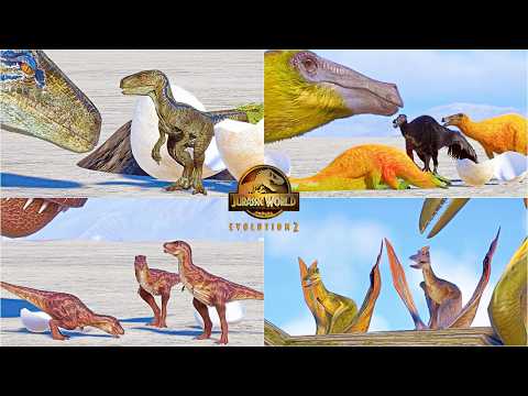 ALL 28 BABY DINOSAURS AND REPTILES MAX INTRO AND PLAYFUL ANIMATIONS IN JURASSIC WORLD EVOLUTION 2