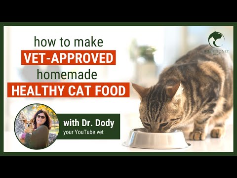 Homemade and Healthy Cat Food Recipe | Vet Approved