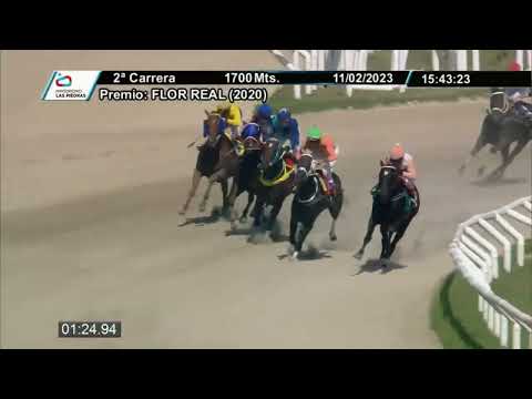 230211 c02 - MAXIMUS JOY (ARG) - HIPODROMO LAS PIEDRAS