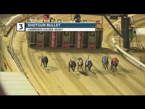 2018 GOLDEN JACKET FINAL - SHOTGUN BULLET