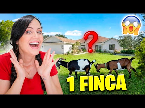 I WANT TO BUY A FARM 😱 DAY 1 Looking for the Beautiful Farm 😅 Sandra Cires Vlog