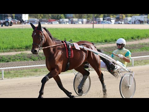 Parma Ferm - Nović B.  -  Restoran "Godo" - Sombor