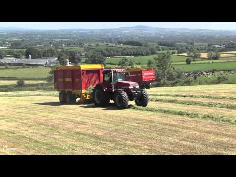 GRASSMEN - Two Legends & A Donkey - Magnum Force