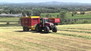 GRASSMEN - Two Legends &amp; A Donkey - Magnum Force