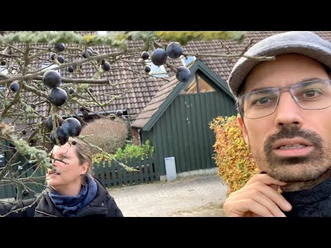 Nu er det tid til slåen