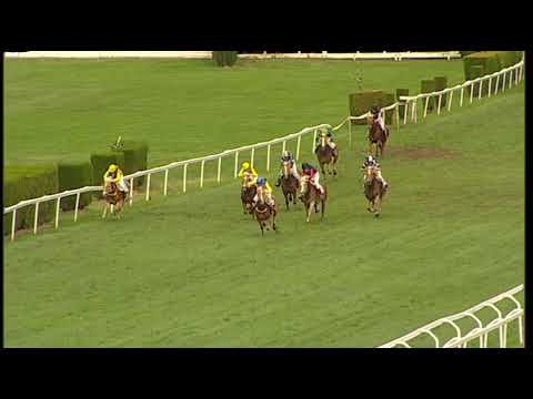 Herbstgalopprennen Oktoberfest: Gran corsa finale / Großer Endlauf 09.10.2022