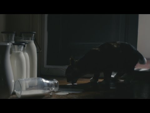 Reklamfilmer: IKEA – Confessions (Long Version)