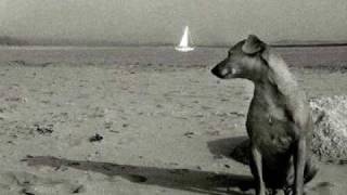 Partir quand même...