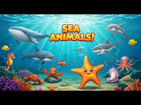 Sea Animals For Kids | Learn Sea Animal Names  | Kids Vocabulary | English Educational Video