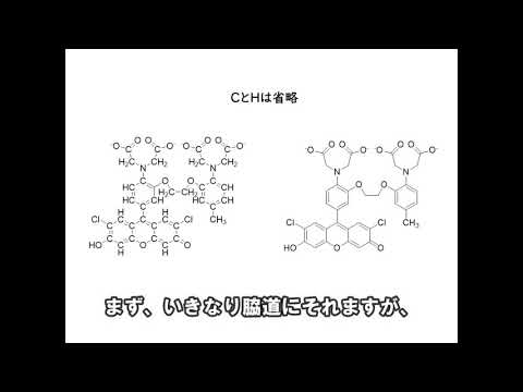 教育学類 令和2年度筑波大学オンライン説明会 理工学群化学類模擬授業 (再放送)