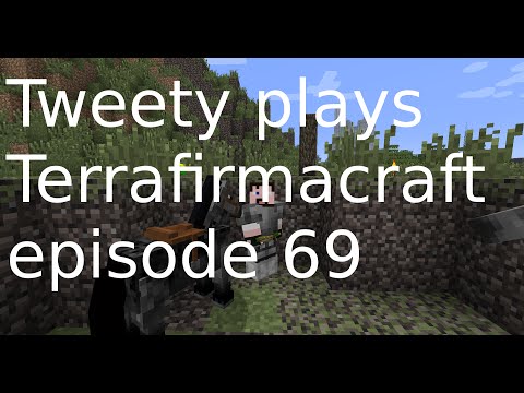 Tweety plays Terrafirmacraft ep 69 - Horse breeding