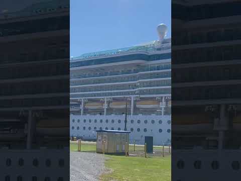 Thumbnail for Beautiful big cruise ship at Newcastle Port #cruiseship #ship #beautiful #australia #newcastle
