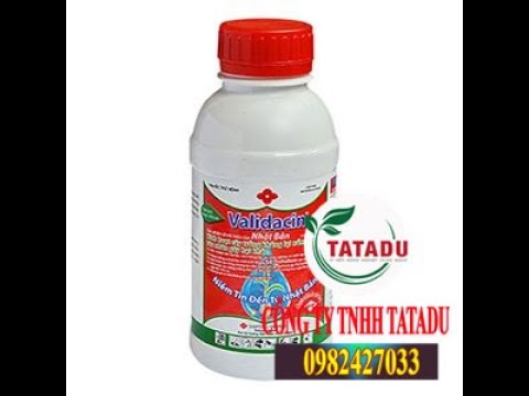VALIDACIN 5L – THUỐC TRỪ BỆNH NẤM HỒNG GÂY HẠI CHO CÂY TRỒNG