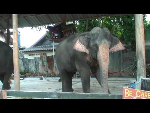 13 12 18 Остров Слонов+