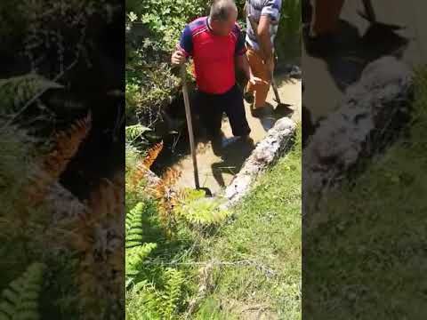 Asociația crescătorilor de animale Valani De Pomezeu Bihor - Lacu Sărat