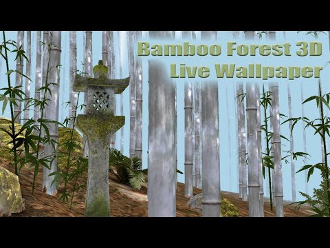 Bamboo Forest Wallpaper Lite Video