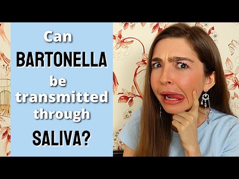 Can Bartonella be transmitted through saliva? The science, Bartonella, and cat, dog, & human saliva
