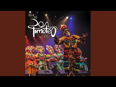 Canto A Los Hijos - Don Timoteo