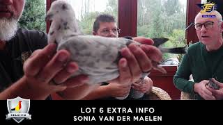 LOT 6 EXTRA INFO SONIA VAN DER MAELEN (2023)