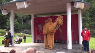 Kardemomme by - Den talende kamel (Singing camel) Topp lydkvalitet