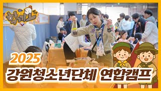 2025 강원청소년단체 '첫' 연합캠프 썸네일