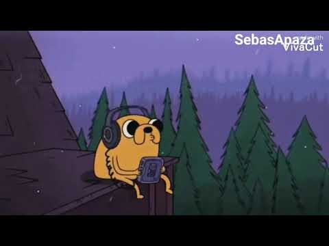 CEACHE - DE SHOW EN SHOW