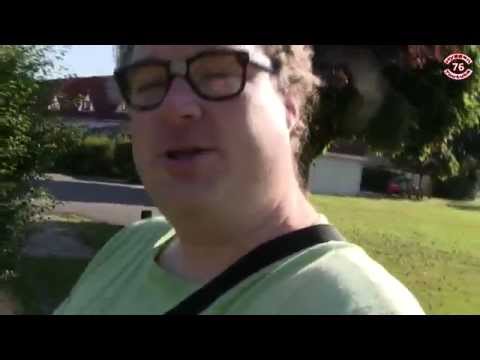 kællinger skal være i køkkenet