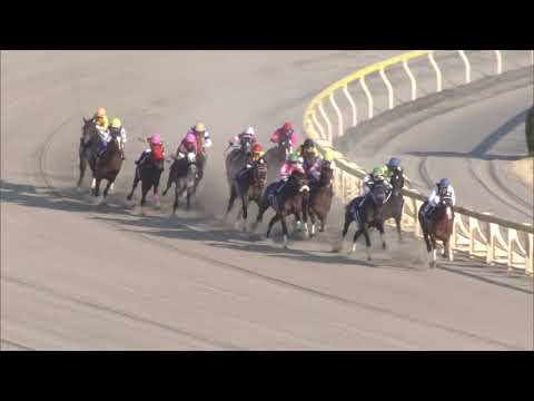 2019 February Stakes (G1)