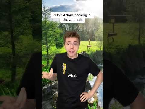 Adam naming all the animals 😭