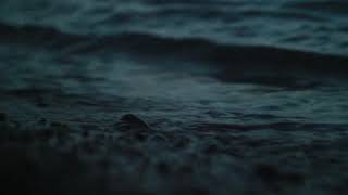 Tere Jeya Hor Disda - The Yellow Diary