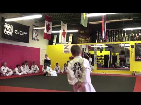 Berjaya Taekwon-do Kids Demo Team 2015