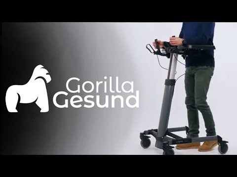 TOPRO Gehwagen Taurus H Premium, mit einstellbaren Handgriffen und Handbremse