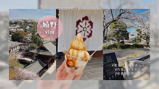 〔Vlog〕2025.04🇯🇵美肌の湯♨️嬉野温泉1泊2日¦満開の桜¦湯宿皿山¦ぎゅう丸🥩¦佐嘉平川屋 豆乳パフェ🤍