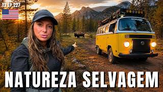 DE KOMBI PELOS CENÁRIOS MAIS IMPRESSIONANTES DOS EUA | T3 EP. 227