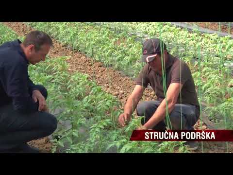 Galenika Fitofarmacija - Pravi put u zaštiti bilja